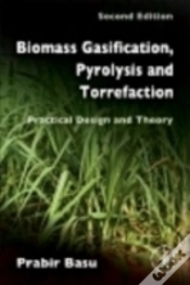 Capa do artigo Biomass Gasification, Pyrolysis And Torrefaction