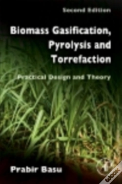 Capa do artigo Biomass Gasification, Pyrolysis And Torrefaction