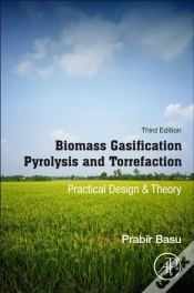 Capa do artigo Biomass Gasification, Pyrolysis And Torrefaction