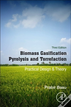 Capa do artigo Biomass Gasification, Pyrolysis And Torrefaction