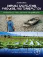 Biomass Gasification, Pyrolysis, And Torrefaction - Preview