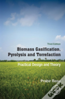 Biomass Gasification, Pyrolysis And Torrefaction