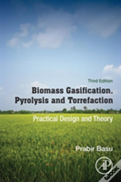 Capa do artigo Biomass Gasification, Pyrolysis And Torrefaction
