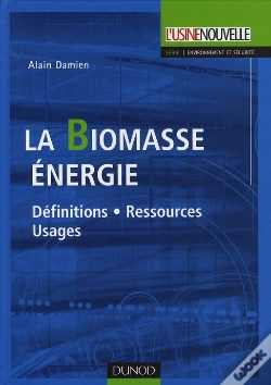 Capa do artigo Biomasse Énergie