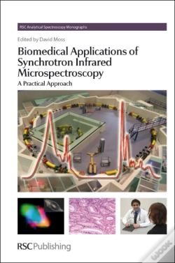 Capa do artigo Biomedical Applications Of Synchrotron Infrared Microspectroscopy