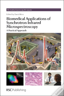 Capa do artigo Biomedical Applications Of Synchrotron Infrared Microspectroscopy