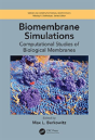 Biomembrane Simulations - Preview