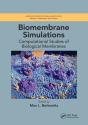 Biomembrane Simulations - Preview