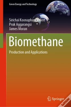 Capa do artigo Biomethane