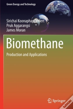 Capa do artigo Biomethane