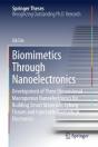 Biomimetics Through Nanoelectronics - Preview