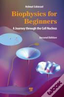 Biophysics For Beginners
