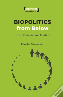Capa do artigo Biopolitics From Below