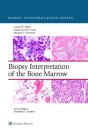Biopsy Interpretation Of The Bone Marrow - Preview