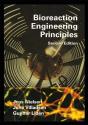 Bioreaction Engineering Principles - Preview