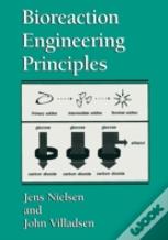 Bioreaction Engineering Principles