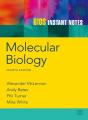 Bios Instant Notes In Molecular Biology - Preview