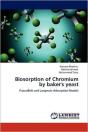 Biosorption Of Chromium By Baker'S Yeast - Preview