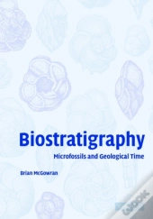 Biostratigraphy