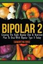 Bipolar 2: Creating The Right Bipolar Di - Preview