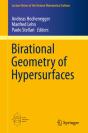 Birational Geometry Of Hypersurfaces - Preview