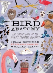 Capa do artigo Bird Anatomy