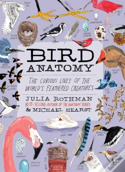 Capa do artigo Bird Anatomy