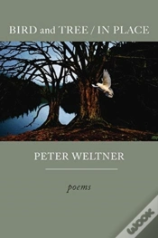 Capa do artigo Bird And Tree / In Place