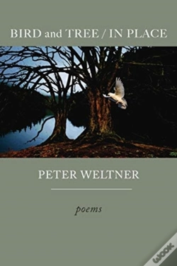 Capa do artigo Bird And Tree / In Place