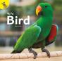 Bird - Preview
