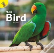 Capa do artigo Bird