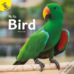 Capa do artigo Bird