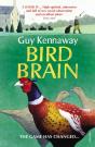 Bird Brain - Preview