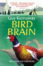 Bird Brain - Preview