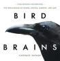 Bird Brains - Preview