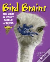 Bird Brains