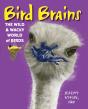 Bird Brains - Preview