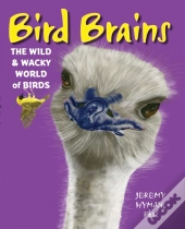 Bird Brains