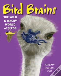 Capa do artigo Bird Brains