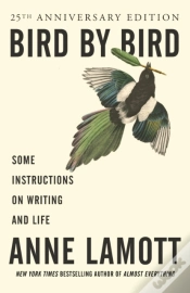 Capa do artigo Bird By Bird