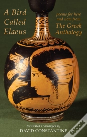 Capa do artigo Bird Called Elaeus