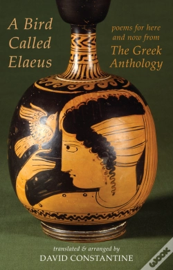 Capa do artigo Bird Called Elaeus