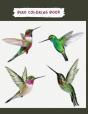Bird Coloring Book - Preview
