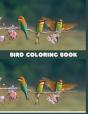 Bird Coloring Book - Preview