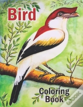 Bird Coloring Book