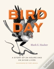 Capa do artigo Bird Day
