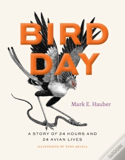 Capa do artigo Bird Day