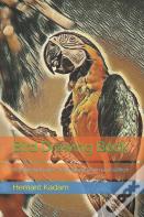 Bird Drawing Book