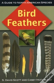 Capa do artigo Bird Feathers