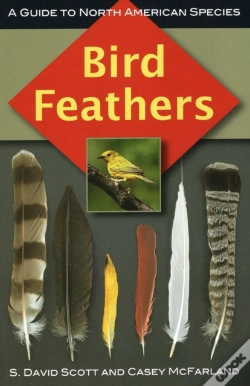 Capa do artigo Bird Feathers